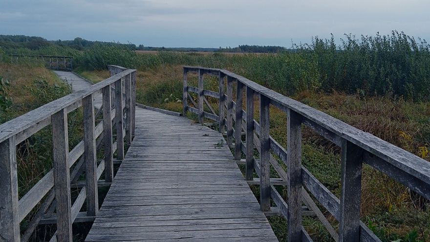 Wyprawa na ścieżkę Czachary w Poleskim Parku Narodowym