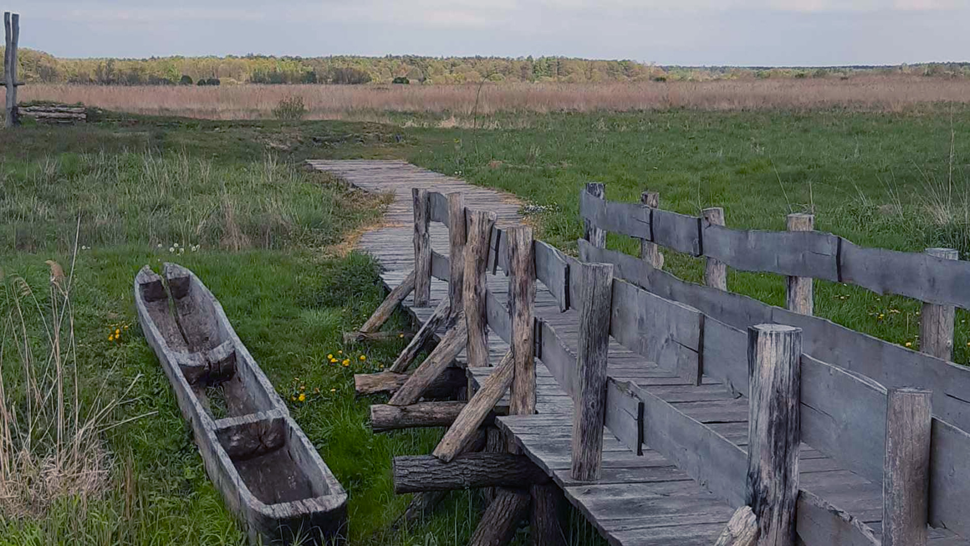 Gród Żmijowiska pod Kazimierzem Dolnym