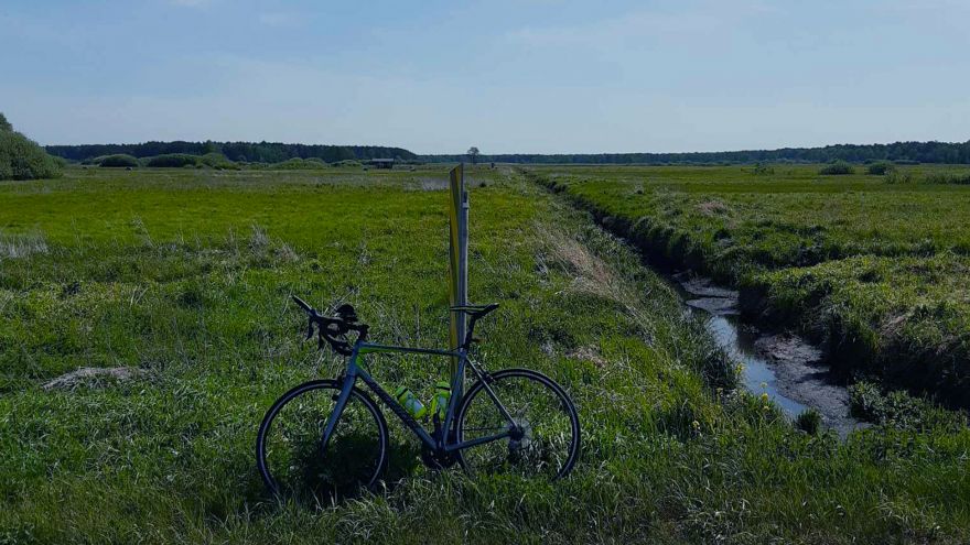 Majówka na rowerze: 130 km wokół Jeziora Firlej