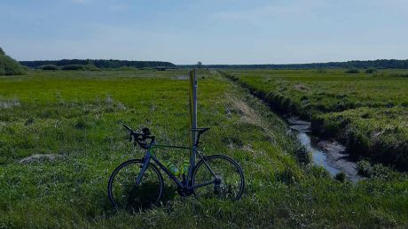 Majówka na rowerze: 130 km wokół Jeziora Firlej