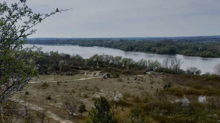 Pierwsza setka w tym roku na Lubelszczyźnie