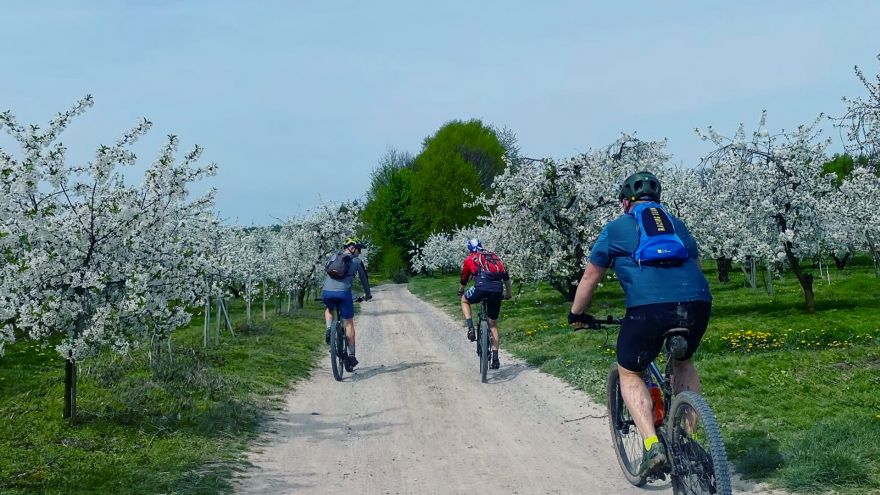 Rowerowa przygoda w Krainie Lessowych Wąwozów
