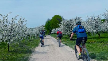 Rowerowa przygoda w Krainie Lessowych Wąwozów