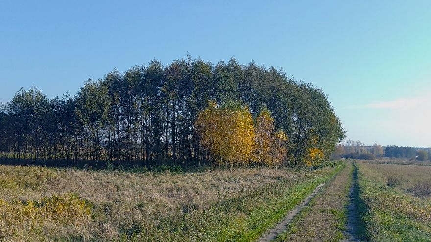 Kośmin - wyprawa doliną Wieprza