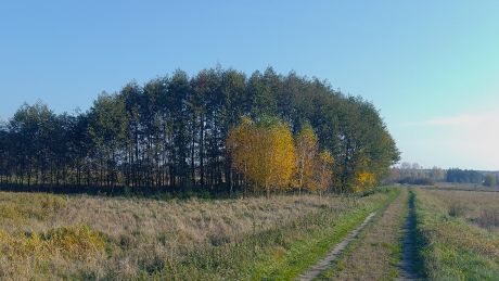 Kośmin - wyprawa doliną Wieprza