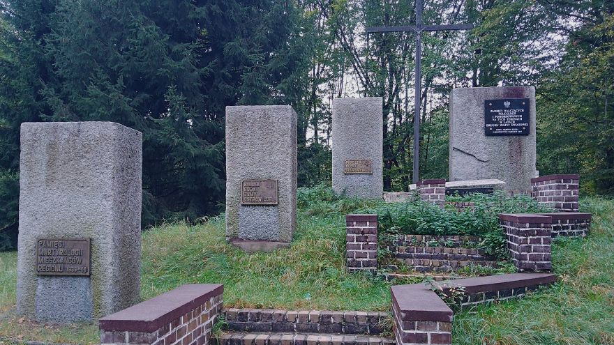 Zdjęcia Wyprawa do Lasów Parczewskich