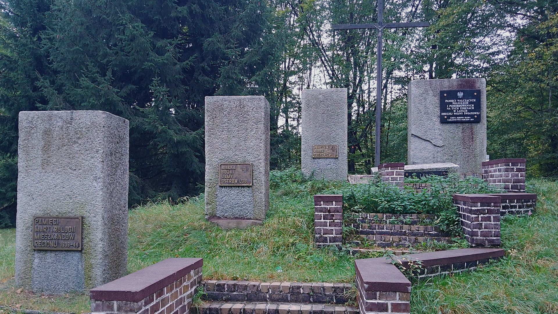 Wyprawa do Lasów Parczewskich