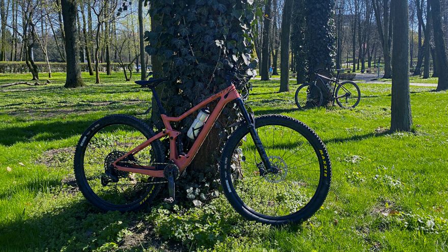 Trasy rowerowe Płasko, pod górę i po wąwozach. Tak wyglądają Wzgórza Urzędowskie i rezerwat Natalin