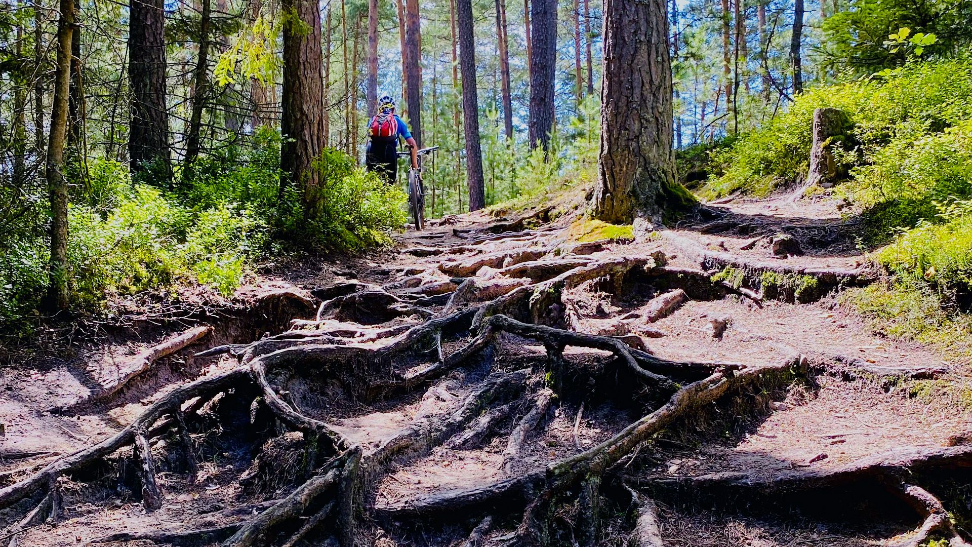 Roztocze na 60 km dla hardkorowców – czyli zapomniane szlaki i rowerowe wyzwania