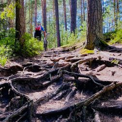 Roztocze na 60 km dla hardkorowców – czyli zapomniane szlaki i rowerowe wyzwania